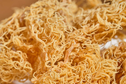 Raw Sea Moss